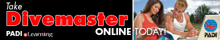 eLrn_Bnr_DM_10-440x80