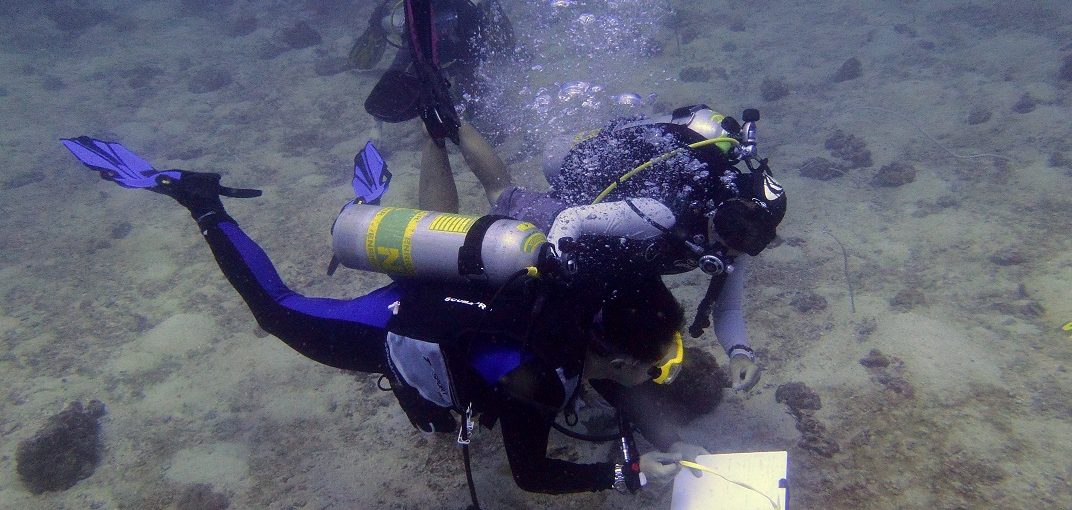 PADI Advanced & Deep Diver Program (2018)