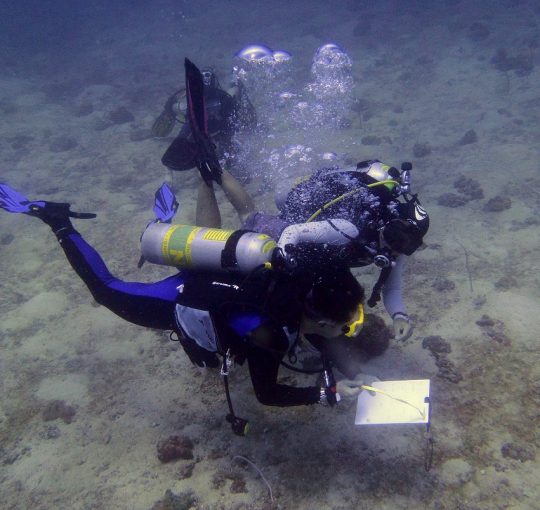 PADI Advanced & Deep Diver Program (2018)