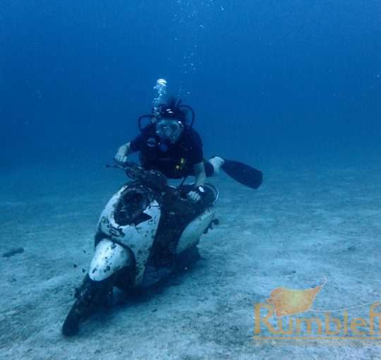 Get your PADI® Open Water Course