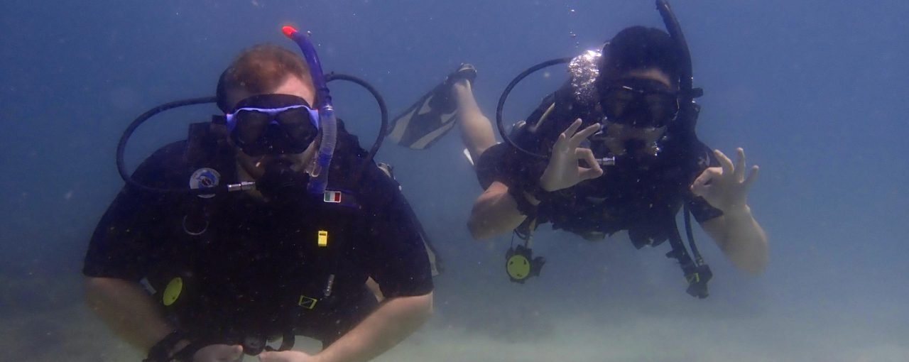 PADI Open Water Course & Sharks Conservation