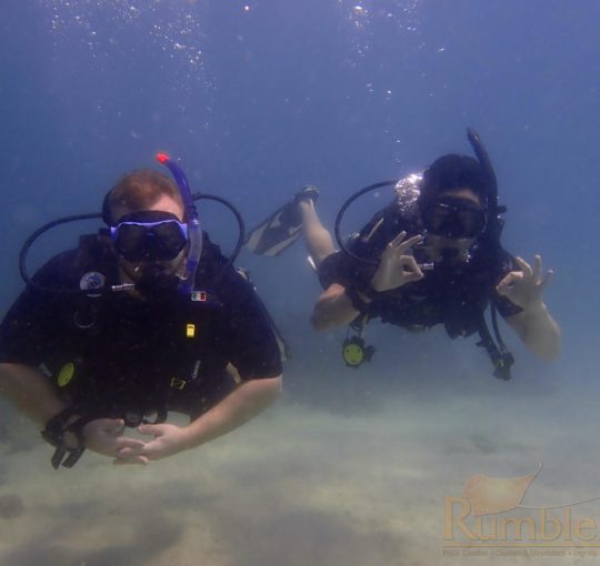 PADI Open Water Course & Sharks Conservation