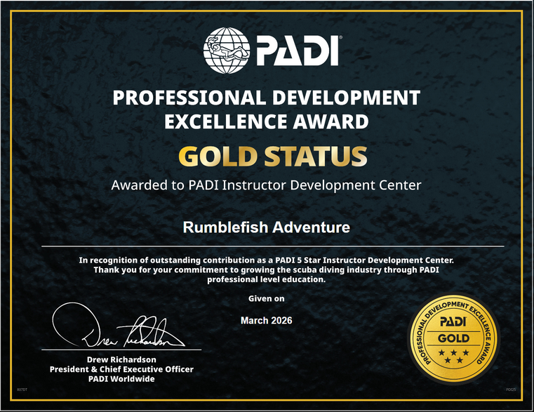 PADI Development Award Gold 2026